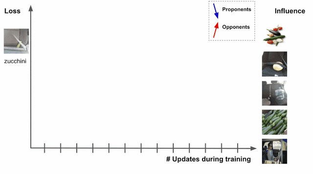 跟踪训练过程中安全带图像内西葫芦的损失变化，估计右侧图像的训练数据影响力